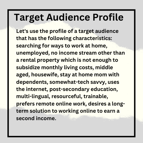target-audience-profile-sample
